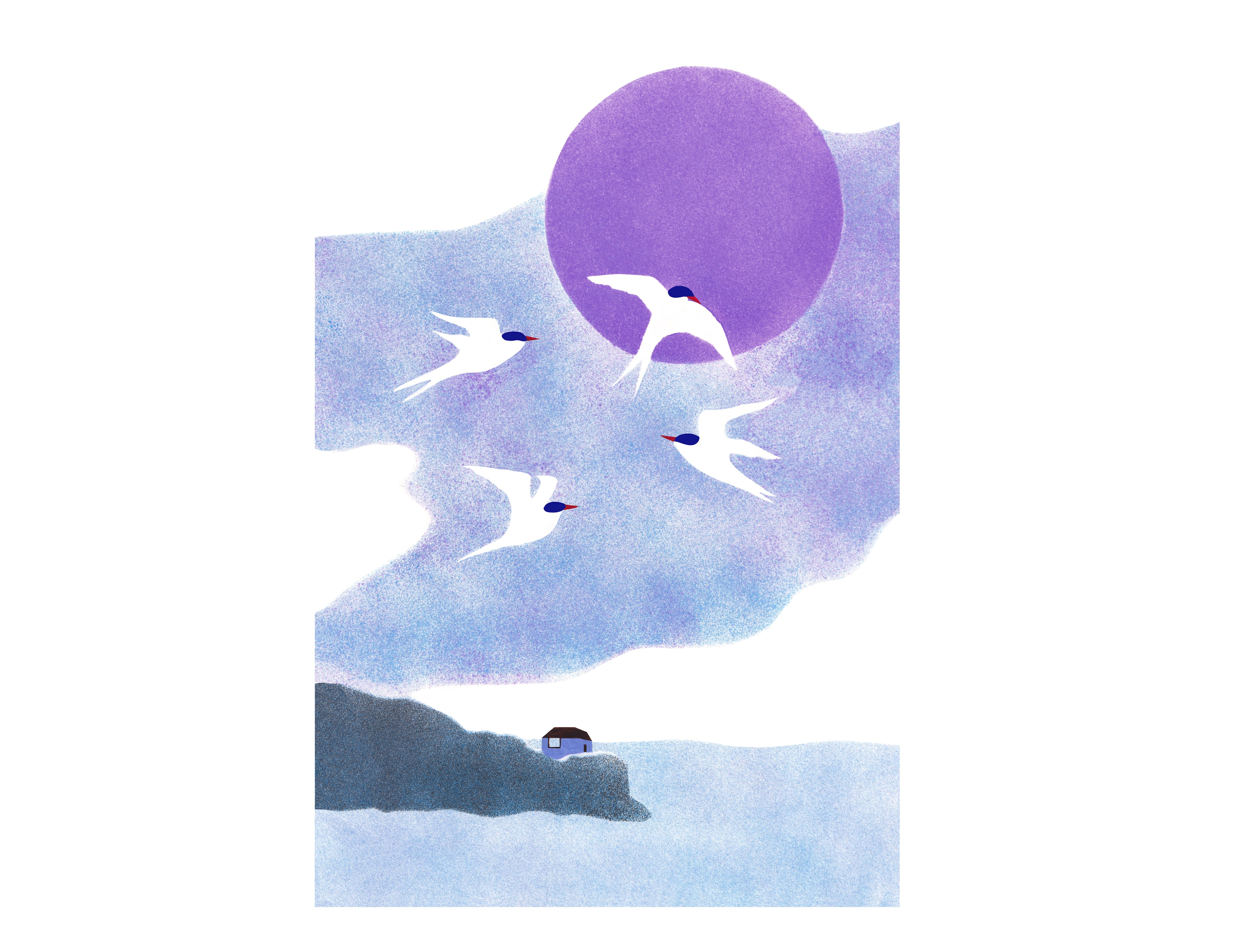 Sternes, Martin Combes